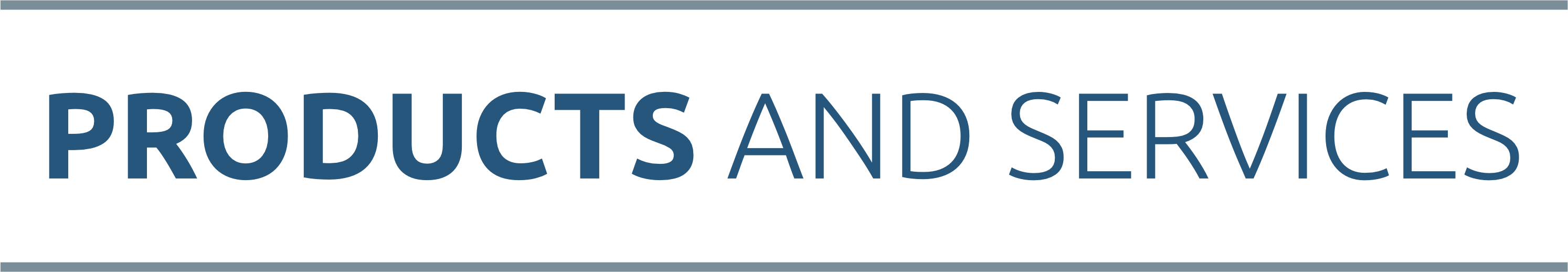 pRODUCTS AND SERVICES